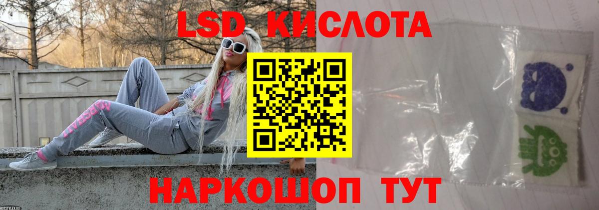МЕФ Артём