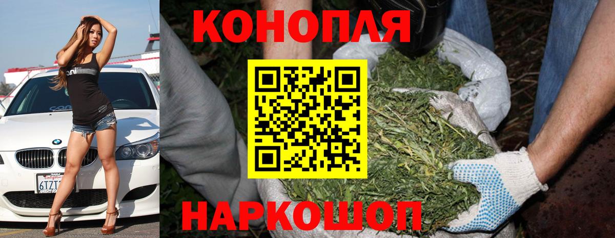 Бошки Шишки VHQ Артём